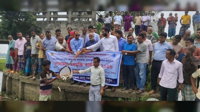 টাঙ্গাইলের গোপালপুরে দেশীয় মাছের উৎপাদন বৃদ্ধিতে বিভিন্ন জলাশয়ে ৯১০ কেজি পোনামাছ অবমুক্ত
