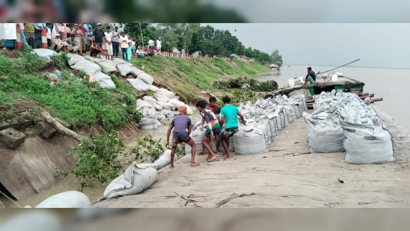 শাখারিয়ার ঝুঁকিপূর্ণ বাঁধ রক্ষায় দিন-রাত কাজ করছে পাউবো