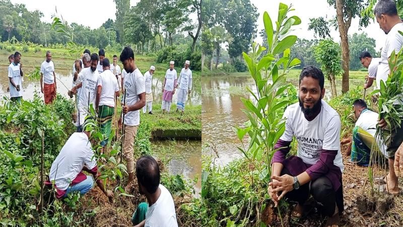 কুমিল্লার বুড়িচংয়ে স্বেচ্ছাসেবী সংগঠন মানবতার সবুজ উদ্যোগ: তিন শতাধিক চারা রোপণ ও দোয়া মাহফিল