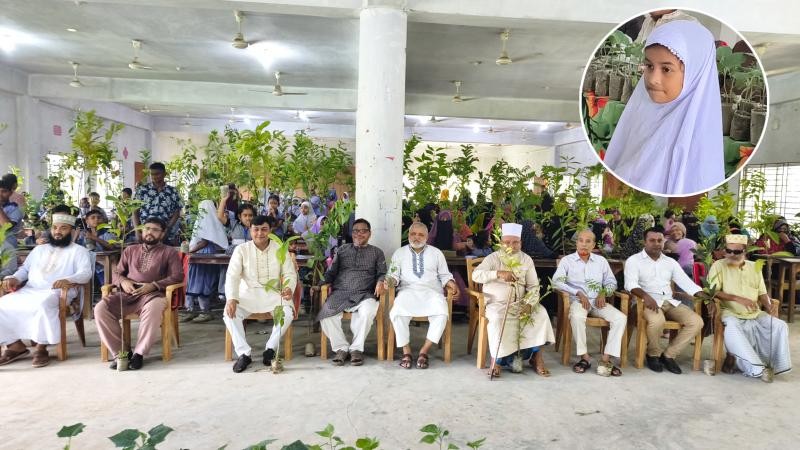 উপহারের লেবু গাছ থেকে ফল এনে প্রধানকে দিয়ে বেতন মওকুফ পেল কুমিল্লার শিশু তোবা
