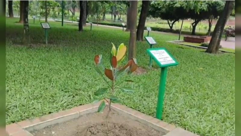 জাতীয় স্মৃতিসৌধে শ্রদ্ধা নিবেদন ও বৃক্ষরোপণ করলেন নবনির্বাচিত রাষ্ট্রপতি মির্জা ফখরুল ইসলাম আলমগীর