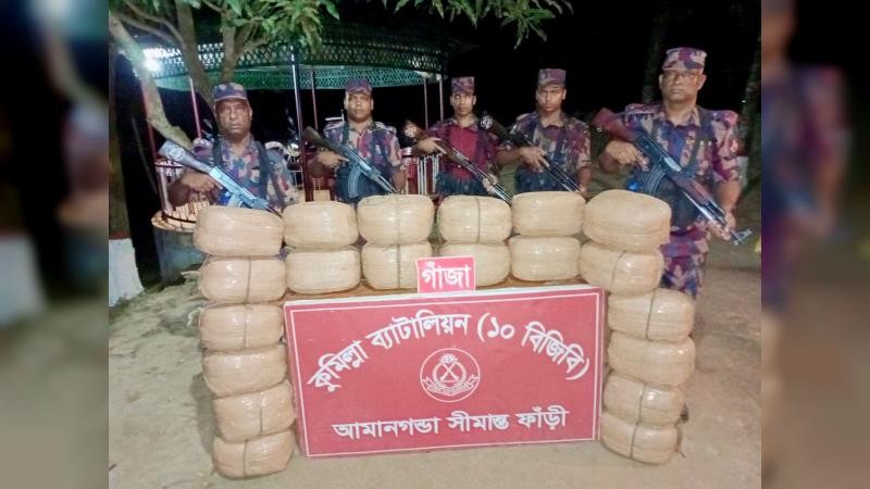 কুমিল্লার চৌদ্দগ্রাম সীমান্তে বিজিবির বড় সাফল্য: উদ্ধার হলো ৮০ কেজি ভারতীয় গাঁজা