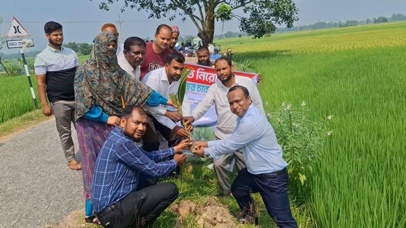 বজ্রপাত থেকে সুরক্ষায় জয়পুরহাটে দুই শতাধিক তালের চারা রোপণ করেছে স্কয়ার ক্রপ কেয়ার ডিভিশন