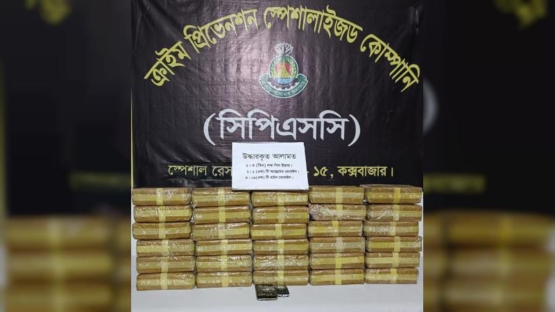বাঁশের সাঁকোর পাশে নালায় লুকানো ৩ লাখ ইয়াবা, নারী আটক