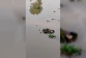 বাঙালি নদীতে অর্ধগলিত লাশ উদ্ধার, কর্তৃপক্ষের উদাসীনতায় জনমনে ক্ষোভ