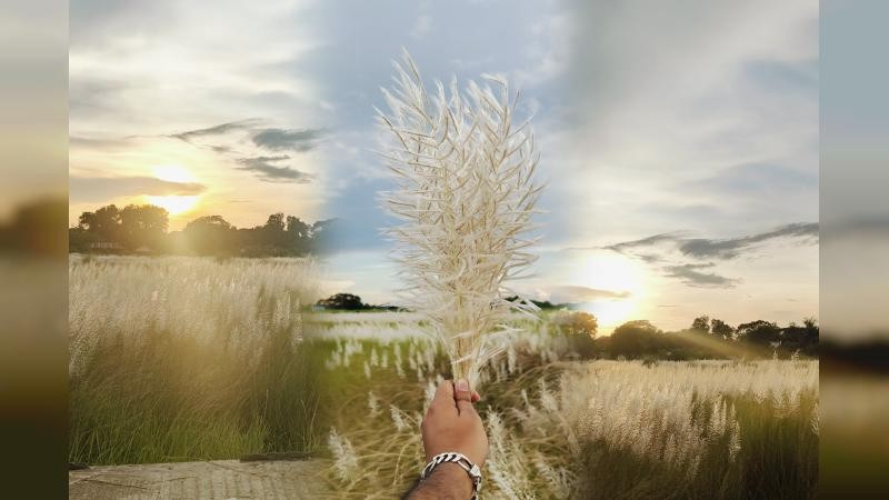 Gimnastikachilar kamming porno