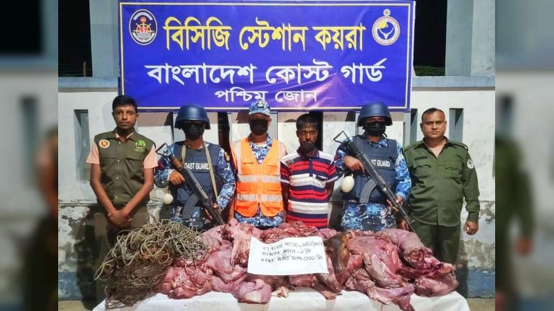 সুন্দরবনে কোস্ট গার্ডের অভিযানে হরিণের মাংসসহ চোরা শিকারি আটক