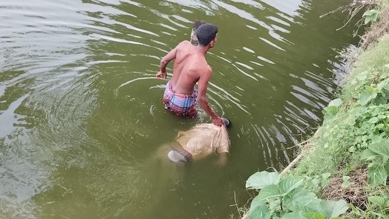 বাগেরহাটের পচা দীঘি থেকে রাজমিস্ত্রির লাশ উদ্ধার