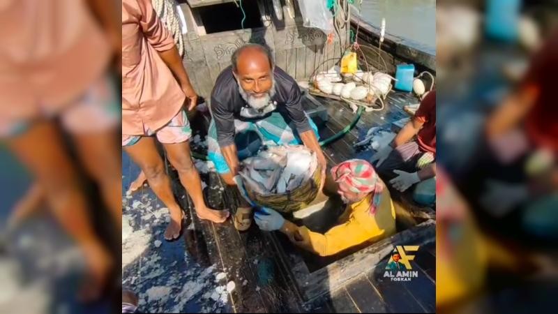 এক টানে ২০০ মণ ইলিশ, ৫২ লাখ টাকায় বিক্রি