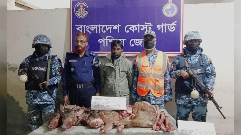মোংলায় যৌথ অভিযানে ৩২ কেজি হরিণের মাংস ও ফাঁদসহ শিকারি আটক