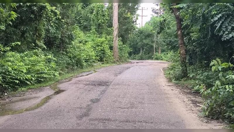 এই সড়কে পা রাখলেই প্রাণের দাম ঠিক করে অপহরণচক্র