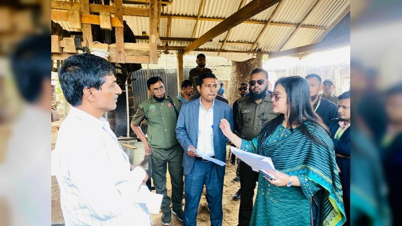 কালীগঞ্জে বিধিমালা লঙ্ঘনে ৪ করাতকল মালিককে জরিমানা