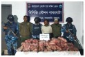 পাথরঘাটায় ১০২ কেজি হরিণের মাংসসহ আটক ১