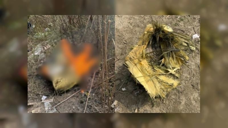 দাউদকান্দিতে উদ্ধারকৃত টাইম বোমা সফলভাবে নিষ্ক্রিয়