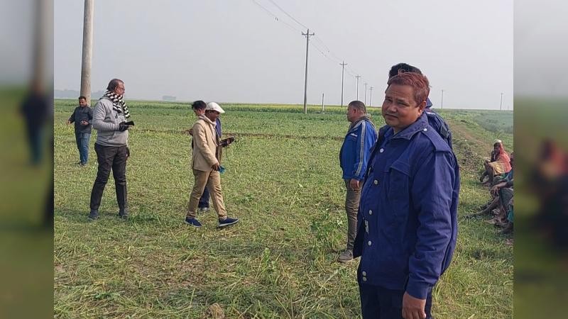 শাহজাদপুরে কৃষকের জমিতে জোরপূর্বক গরু দিয়ে ঘাস খাওয়ানোর অভিযোগ