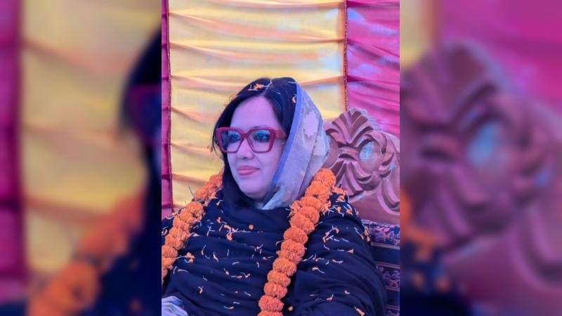 ধান খেজুর গাছ নয়, হাঁস বাঘ হয় না: রুমিন ফারহানা