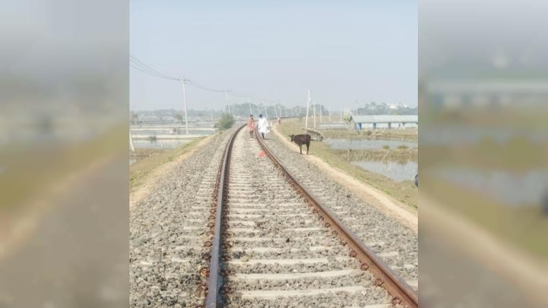 মোংলায় ট্রেনে কাঁটা পড়ে নারীর মর্মান্তিক মৃত্যু 