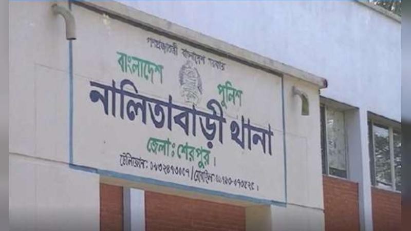 নালিতাবাড়ীতে অটোরিকশা চাপায় শিশুর মৃত্যু