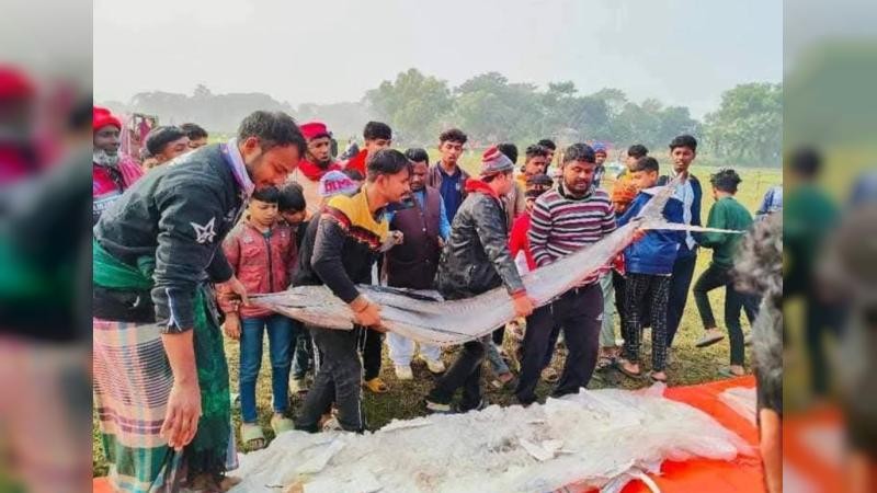 কালীগঞ্জের বিনীরাইলে মাছের মেলায় জামাই-শ্বশুরের উৎসব