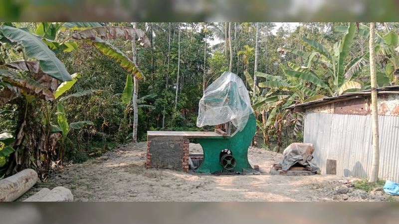 বরগুনায় নিয়ন্ত্রণহীন অবৈধ করাতকল: পরিবেশ ও জনস্বাস্থ্য হুমকির মুখে