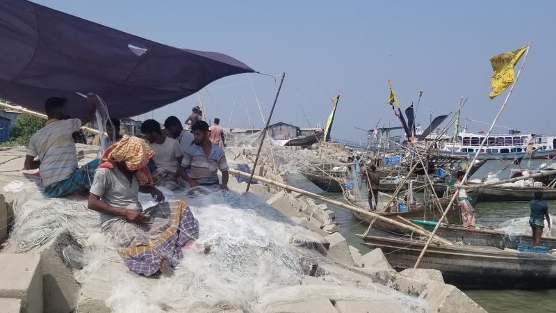 ভোলার ১৯০ কিমি নদীপথে জাটকা সংরক্ষণে দুই মাসের নিষেধাজ্ঞা