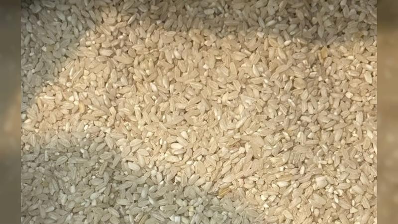 খাগড়াছড়িতে নিম্নমানের চাল বিতরণ, ৩ মাস অন্তর ৮ কোটির বানিজ্য