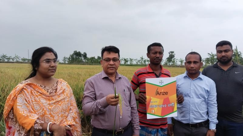লোহাগড়ার নলদীতে মাঠ দিবস অনুষ্ঠিত:উন্নত জাতের ধান চাষে কৃষকদের আগ্রহ