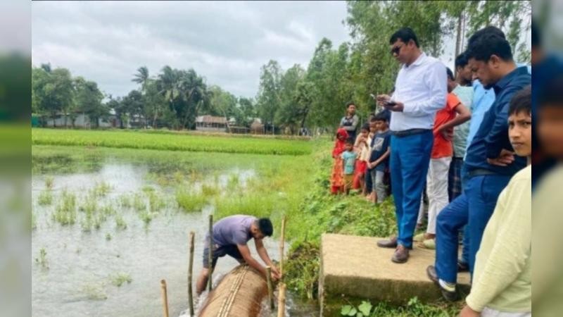 ঝিনাইগাতীতে ধান ক্ষেতের জলাবদ্ধতা নিরসন করলেন ইউএনও