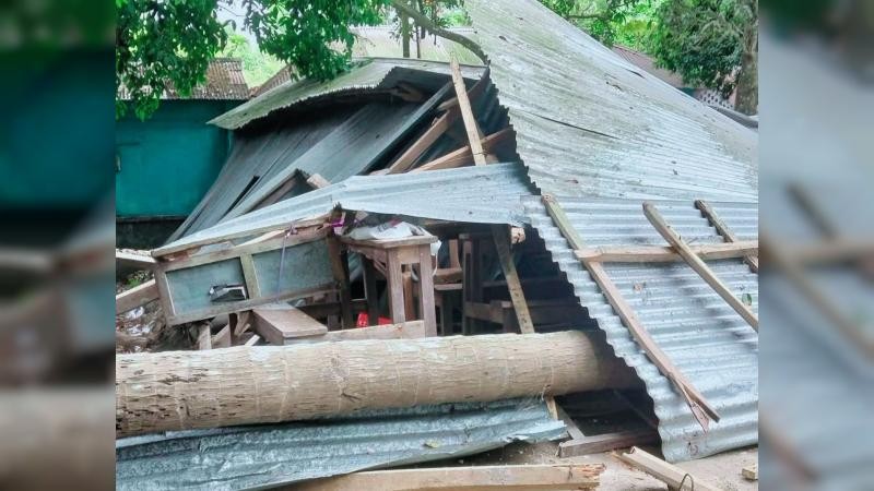 নড়াইলে শ্রেণিকক্ষের ওপর নারিকেল গাছ উপড়ে পড়ে দুই শিক্ষার্থী আহত