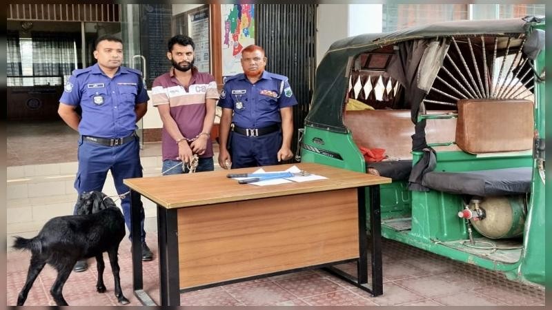 লালপুরে ছাগল চুরি করে পালানোর সময় সিএনজিসহ আটক