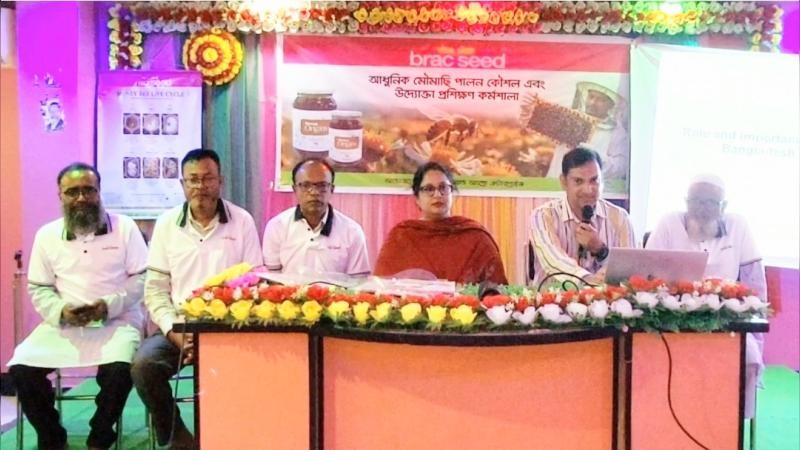 উল্লাপাড়ায় আধুনিক মৌমাছি পালন কৌশল ও উদ্যোক্তা প্রশিক্ষণ কর্মশালা অনুষ্ঠিত