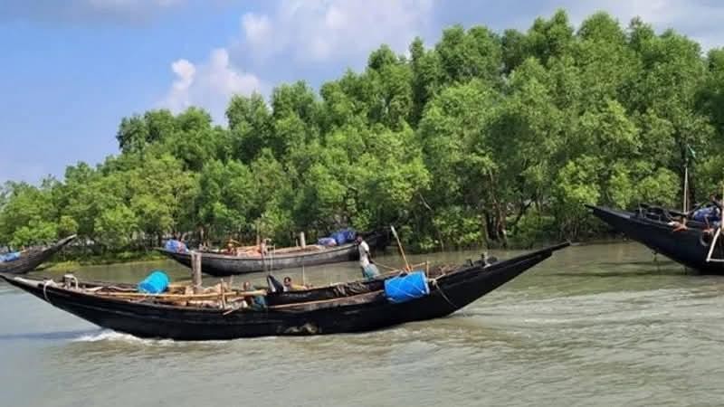সাতক্ষীরা সুন্দরবন রেঞ্জে জলদস্যু আলিম ও নানাভাই বাহিনীর হাতে ২২ জেলে অপহৃত 