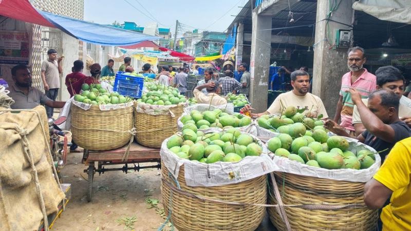 সাতক্ষীরায় সুস্বাদু আমে সয়লাব বাজার 