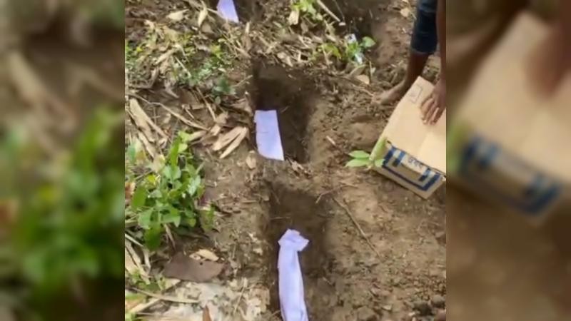 দীর্ঘ ১০ বছর পর একসঙ্গে ৭ সন্তান জন্ম, বাঁচানো গেল না কাউকেই