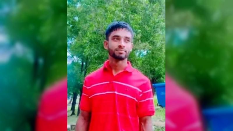 কুমিল্লায় গাছ কাটতে গিয়ে পড়ে যুবক নিহত