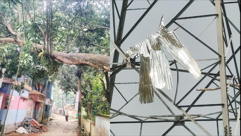 শেরপুরে ঝড়ের তাণ্ডব: বাড়িঘর ও ফসলের ব্যাপক ক্ষতি