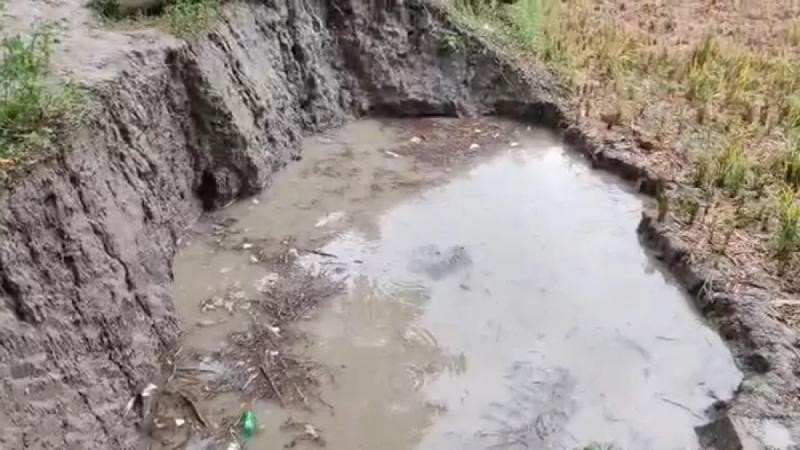 কবিরহাটে গর্তের পানিতে ডুবে দুই শিশুর মৃত্যু