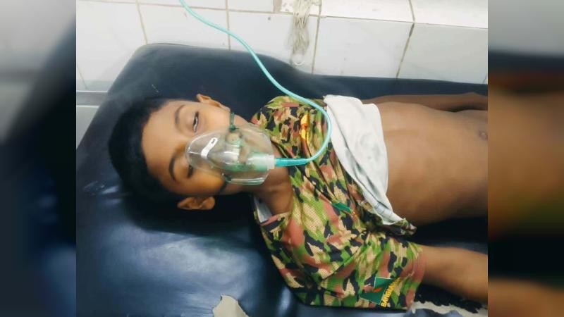 সরিষাবাড়ীতে গলায় লিচু আটকে শিশুর মৃত্যু