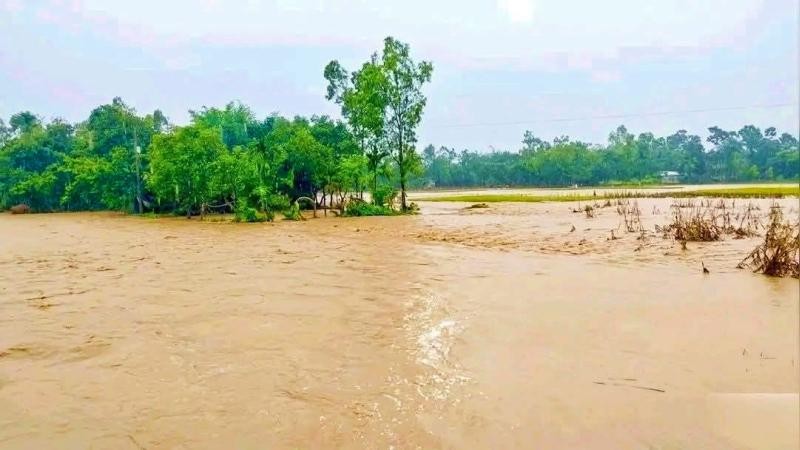 হালুয়াঘাটে টানা বর্ষণে প্লাবিত নিম্নাঞ্চল