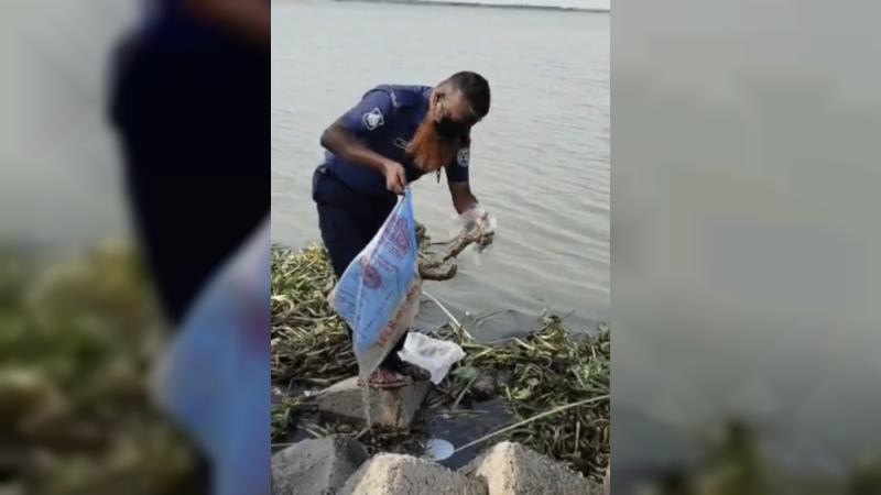 শরীয়তপুরে পদ্মা নদীতে ভেসে আসা পলিব্যাগে অজ্ঞাত ব্যক্তির হাত-পা