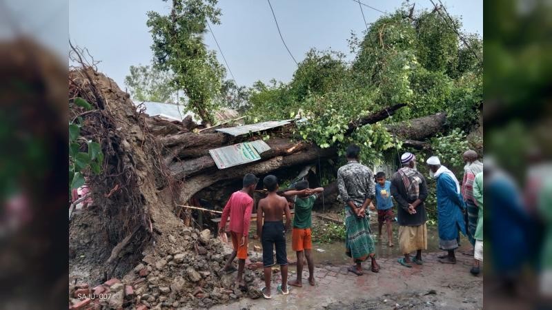 কালবৈশাখীর তান্ডব: ঝড়ে বটগাছ উপড়ে দুমড়ে-মুচড়ে গেল বসতবাড়ি 
