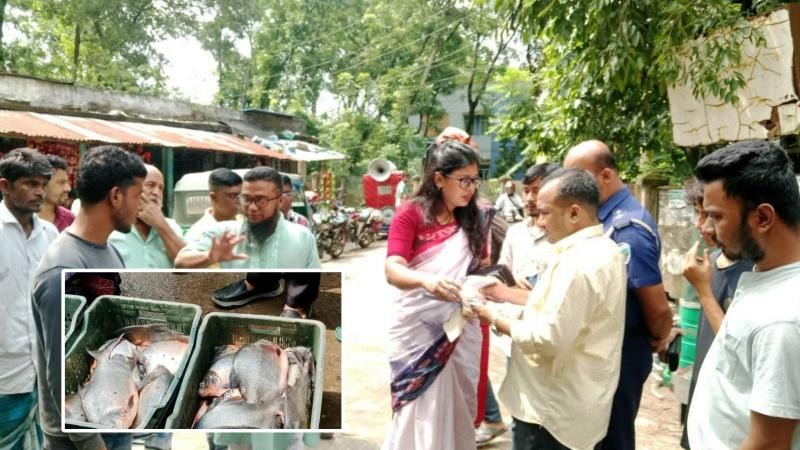 বুড়িচংয়ে ৩৭ কেজি নিষিদ্ধ পিরানহা মাছ জব্দ, ব্যবসায়ীকে জরিমানা 