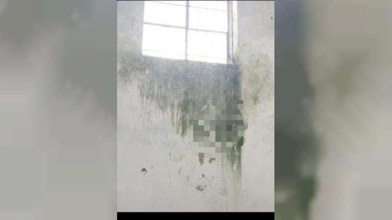 নোয়াখালী বিজ্ঞান ও প্রযুক্তি বিশ্ববিদ্যালয়ে ছাত্রী হলের দেয়ালে আপত্তিকর চিত্র
