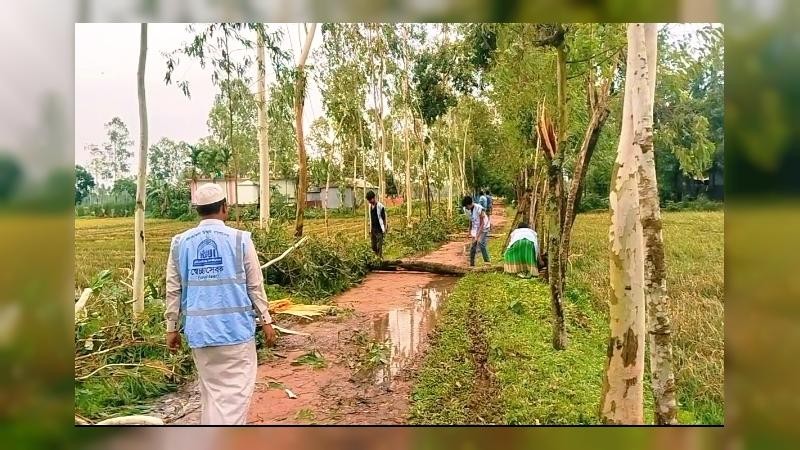 শেরপুরের নালিতাবাড়ীতে আকস্মিক টর্নেডোর ছোবলে বৃদ্ধার মৃত্যু, ঘরবাড়ি-গাছপালা বিধ্বস্ত