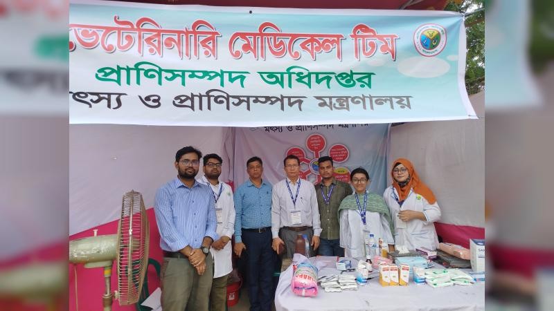 রাজধানীর ২৯ হাটে বিনামূল্যে ভেটেরিনারি সেবা দিচ্ছে ডিএলএস
