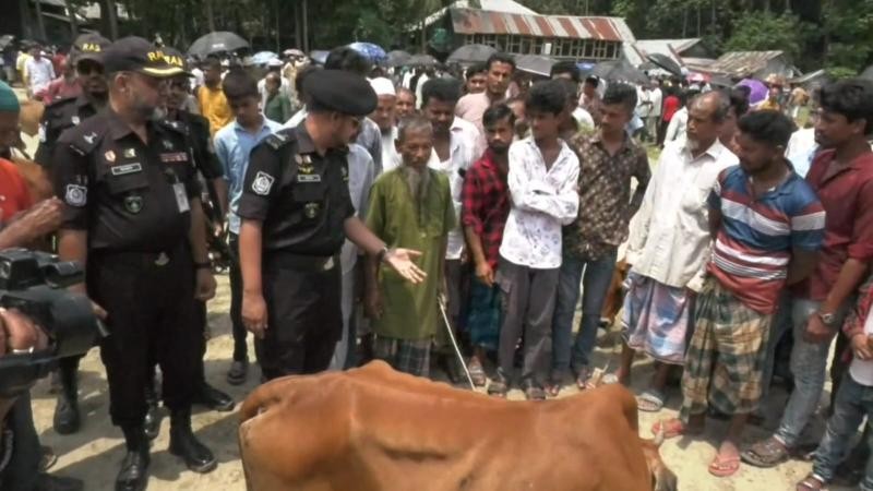 পশুর হাটে নিরাপত্তা জোরদার করেছে র‌্যাব-৮