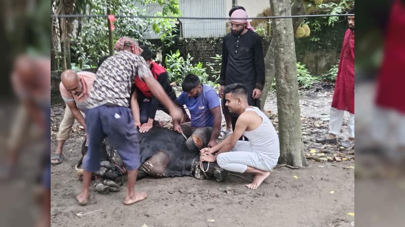 কিশোরগঞ্জে যথাযথ ধর্মীয় ভাবগাম্ভীর্যে ঈদুল আজহা উদযাপিত
