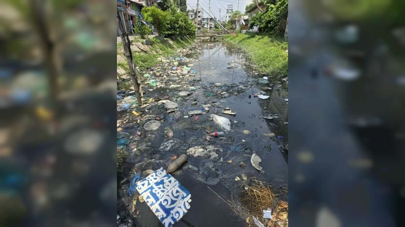 ময়লা-আবর্জনায় ভরাট নাথপট্টি খাল, বরগুনা শহরে ডেঙ্গুর আশঙ্কা