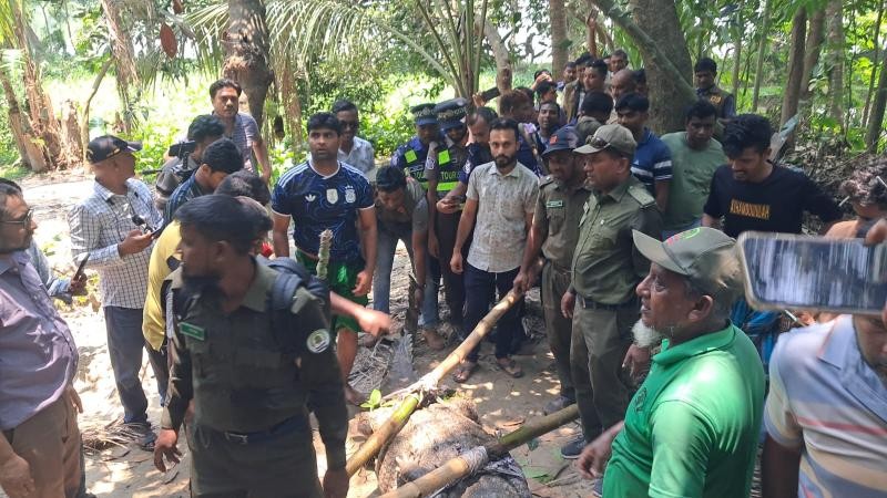 খানজাহান আলী মাজার সংলগ্ন দিঘিতে থাকা একমাত্র কুমির সরিয়ে নেওয়া হল 