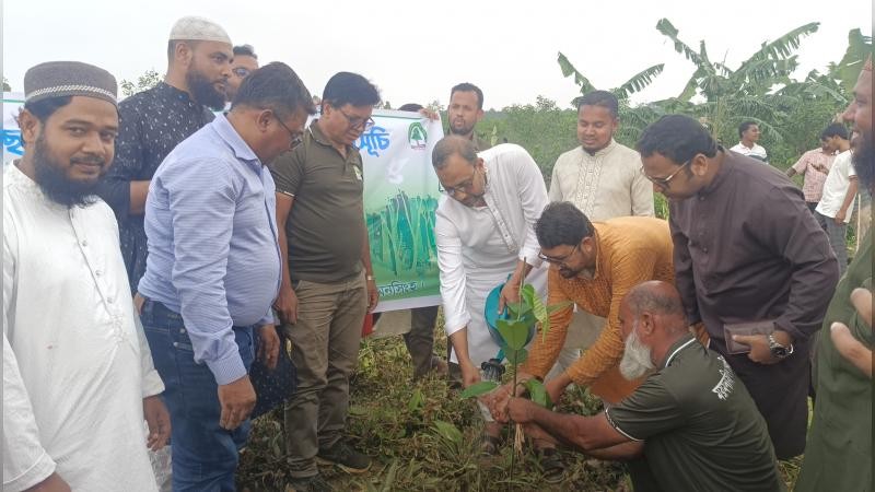 ফুলবাড়িয়ায় ২৫ কোটি বৃক্ষরোপণ কর্মসূচি শুরু